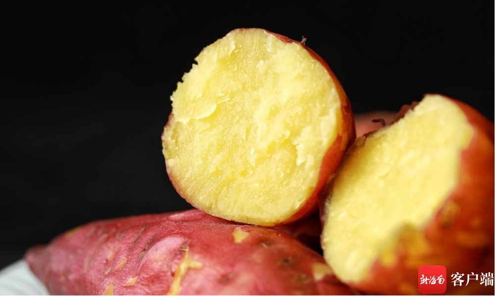 临高富硒地瓜（临高富硒地瓜）-硒宝网