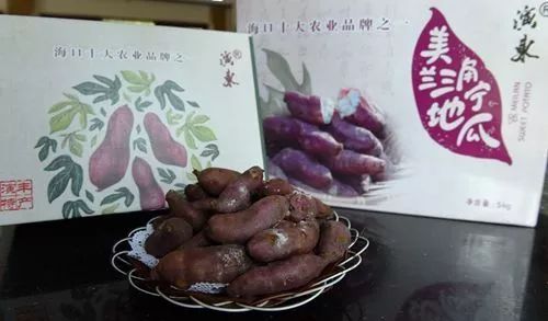 富硒地瓜徐州（富硒地瓜好吃吗）-硒宝网