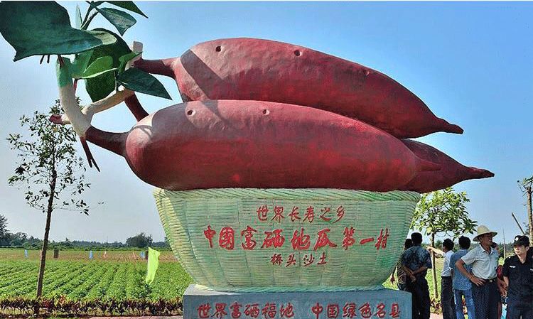 富硒地瓜成分（富硒地瓜真的含硒吗）-硒宝网