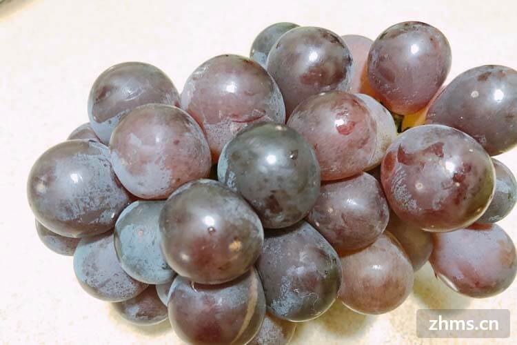 吃什么补铁快(吃补铁的药会有什么副作用)-硒宝网