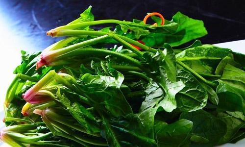 菠菜是补铁的吗(菠菜补铁是几价铁)-硒宝网