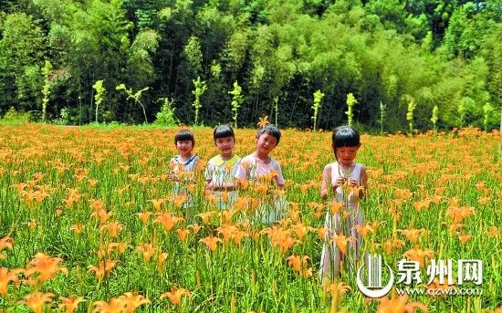 富硒地瓜凸起(富硒地瓜口感)-硒宝网