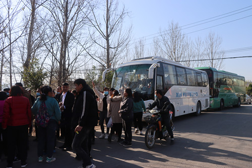 富硒地瓜洛阳(洛阳地瓜富硒产地)-硒宝网