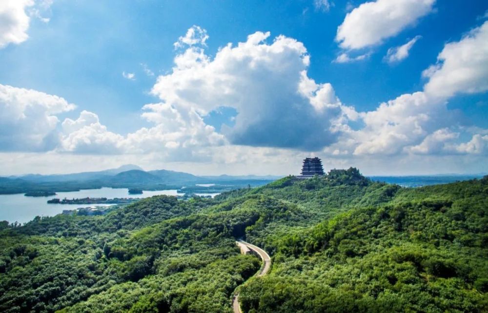 富硒地瓜叶子（叶子地瓜富硒含量多少）-硒宝网