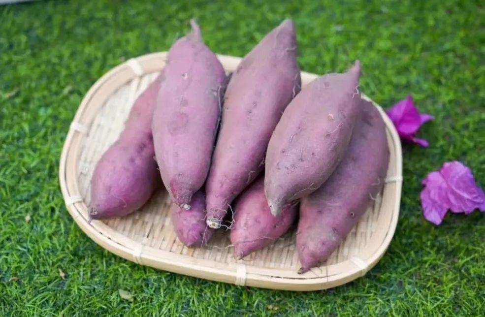 富硒地瓜宣传(富硒地瓜口感)-硒宝网