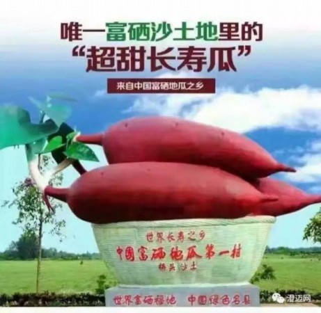 富硒地瓜细长(富硒地瓜好吃吗)-硒宝网
