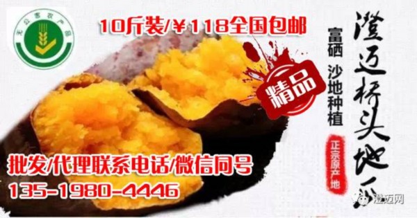 富硒地瓜细长(富硒地瓜好吃吗)-硒宝网
