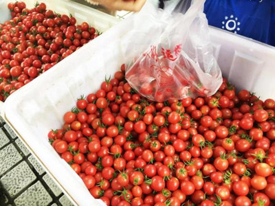 富硒地瓜凸起(富硒地瓜好吃吗)-硒宝网