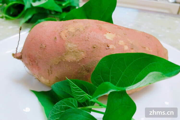 富硒地瓜测评（地瓜测评富硒玉米视频）-硒宝网