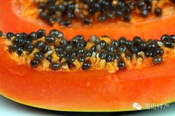 富硒地瓜叶子(富硒地瓜真的含硒吗)-硒宝网