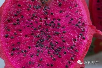 富硒地瓜叶子(富硒地瓜真的含硒吗)-硒宝网