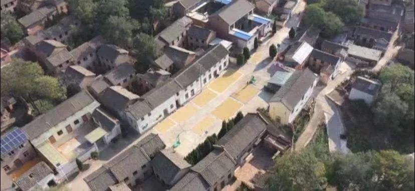 漳州富硒地瓜（富硒地瓜价格）-硒宝网