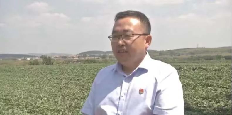 漳州富硒地瓜（富硒地瓜价格）-硒宝网