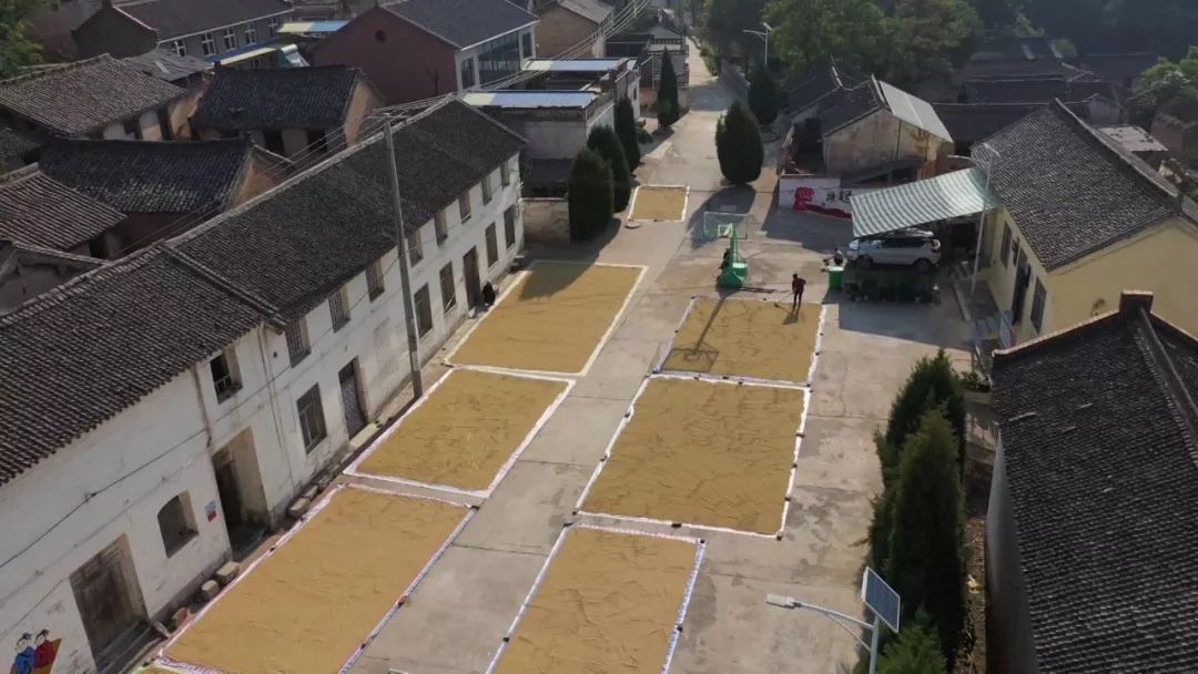 漳州富硒地瓜（富硒地瓜价格）-硒宝网