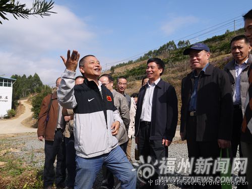 富硒地瓜收购(大量收购地瓜)-硒宝网