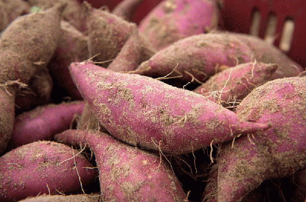 钟祥富硒地瓜(地瓜富硒钟祥哪里有卖)-硒宝网