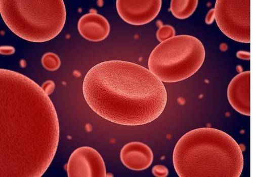 羊肉补铁吗(羊肉补铁还是牛肉)-硒宝网