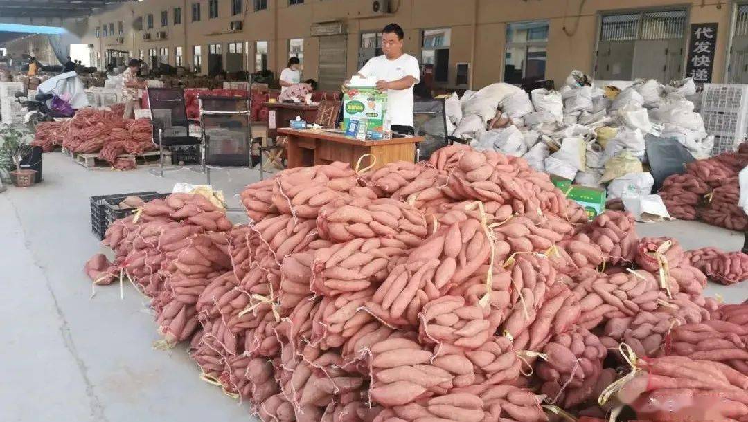 富硒地瓜揭秘(地瓜富硒标准)-硒宝网