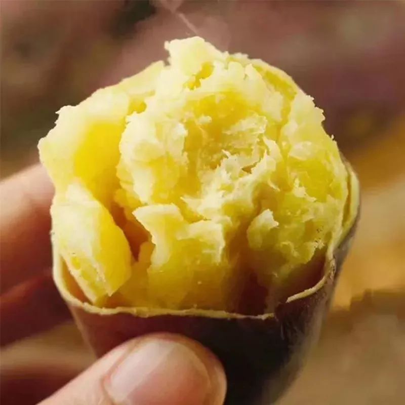 富硒地瓜宣传(地瓜宣传富硒文案)-硒宝网