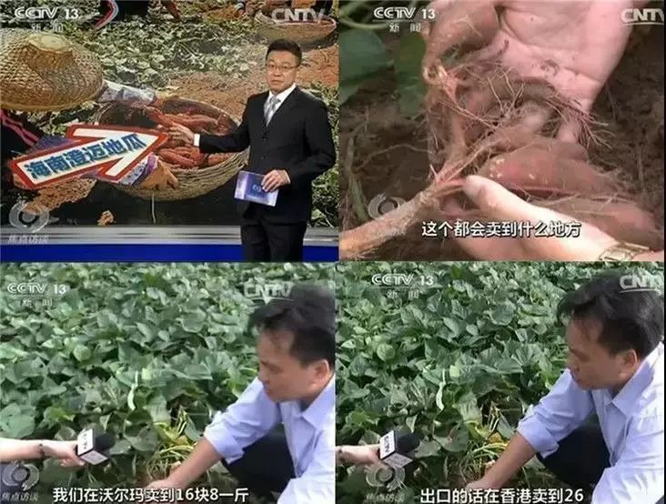 富硒地瓜宣传(地瓜宣传富硒文案)-硒宝网