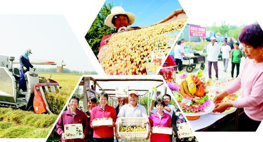 富硒地瓜直播(直播地瓜富硒是真的吗)-硒宝网