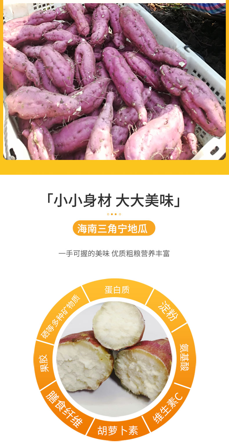 有机富硒地瓜(富硒地瓜的骗局)-硒宝网