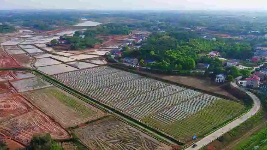 富硒地瓜储存（地瓜储存富硒多少天）-硒宝网