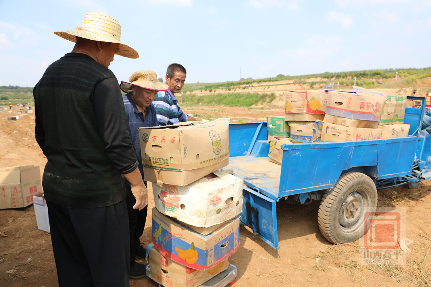 烤箱富硒地瓜（富硒地瓜怎么烤）-硒宝网