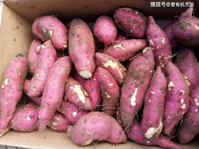 烤箱富硒地瓜（富硒烤红薯）-硒宝网