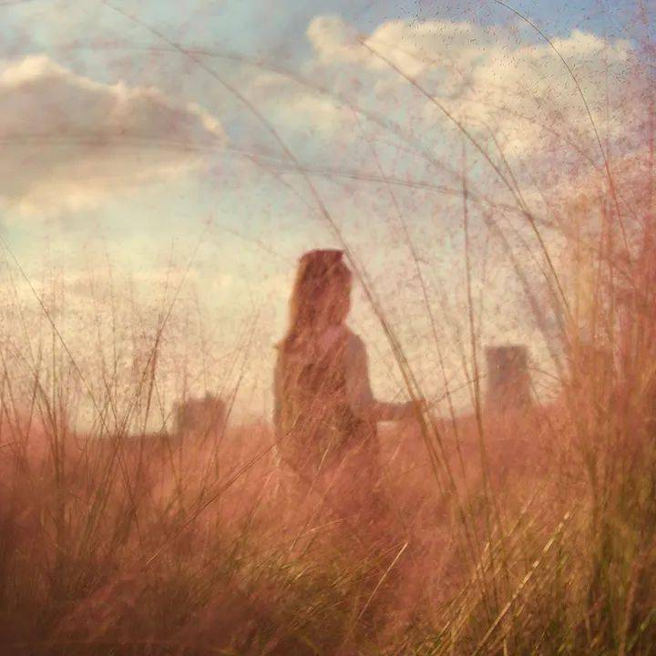 火山富硒地瓜(火山地瓜富硒含量高吗)-硒宝网