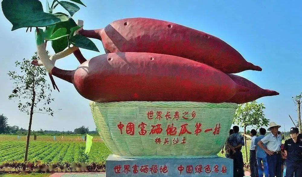 火山富硒地瓜(火山地瓜富硒含量高吗)-硒宝网