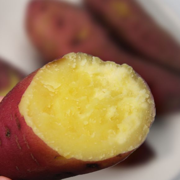 桥口富硒地瓜(富硒地瓜的功效与作用)-硒宝网