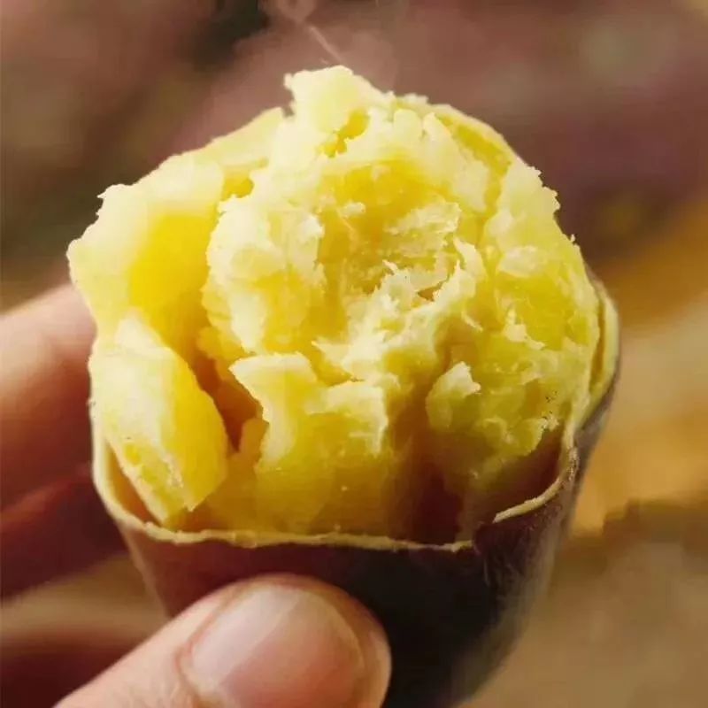 桥口富硒地瓜(富硒地瓜的功效与作用)-硒宝网