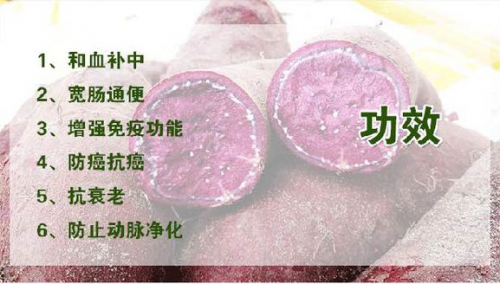 富硒地瓜澄迈(海南澄迈富硒地瓜成熟月份)-硒宝网