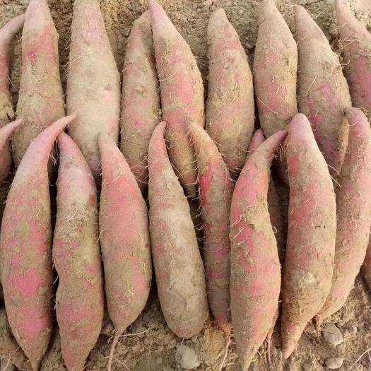 富硒地瓜怎么(富硒地瓜对人体有什么好处)-硒宝网