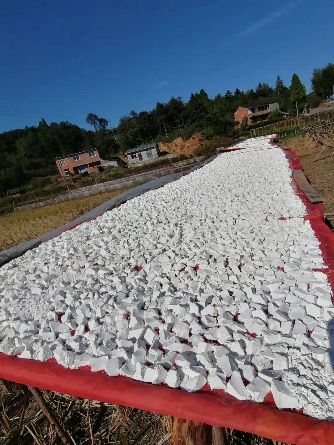 岫岩富硒地瓜（富硒地瓜好吃吗）-硒宝网