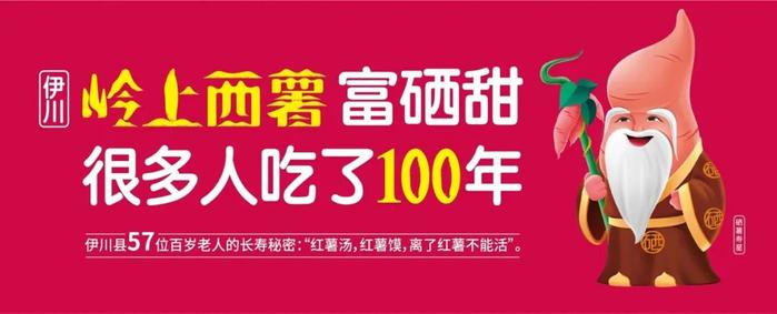 莒南富硒地瓜（地瓜富硒莒南有卖吗）-硒宝网