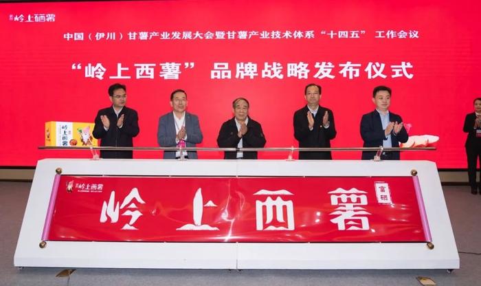 莒南富硒地瓜（地瓜富硒莒南有卖吗）-硒宝网