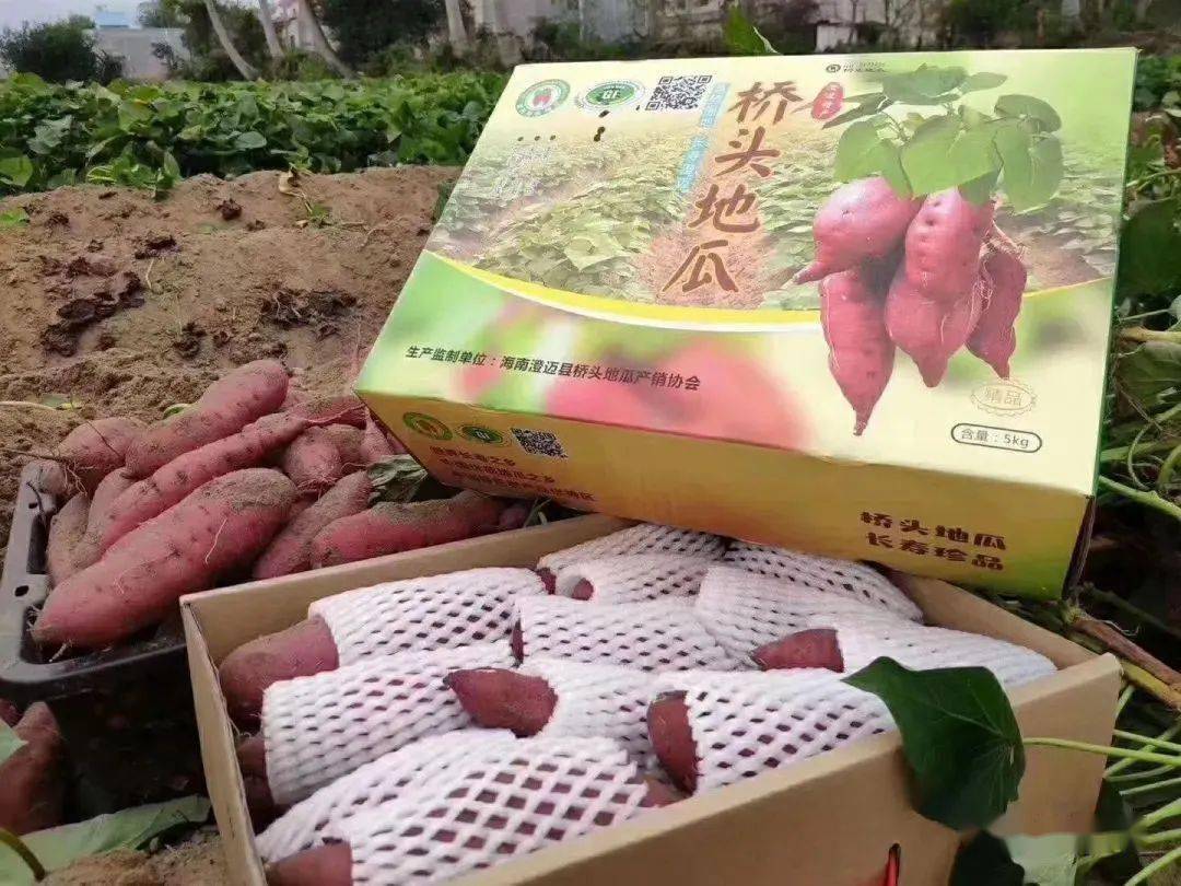 富硒地瓜怎么(富硒地瓜好吗)-硒宝网