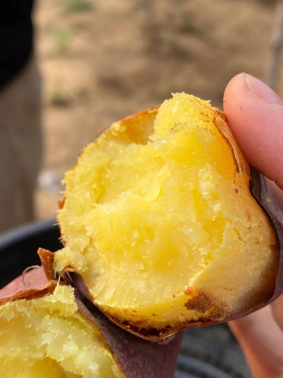 富硒地瓜热量(热量地瓜富硒含量高吗)-硒宝网