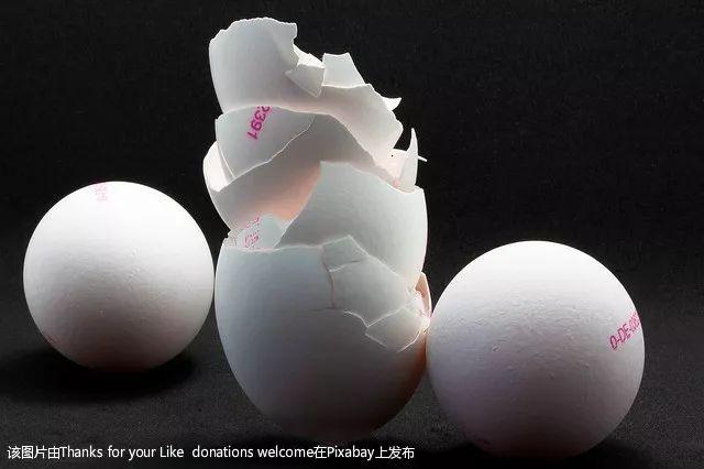 吃鸡蛋壳补钙吗(缺钙吃鸡蛋壳)-硒宝网