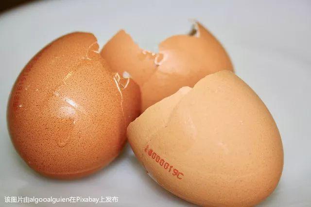 吃鸡蛋壳补钙吗(缺钙吃鸡蛋壳)-硒宝网