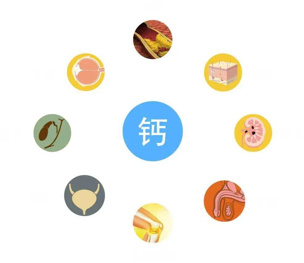 女性补钙最佳年龄(女性什么年龄开始补钙最好)-硒宝网