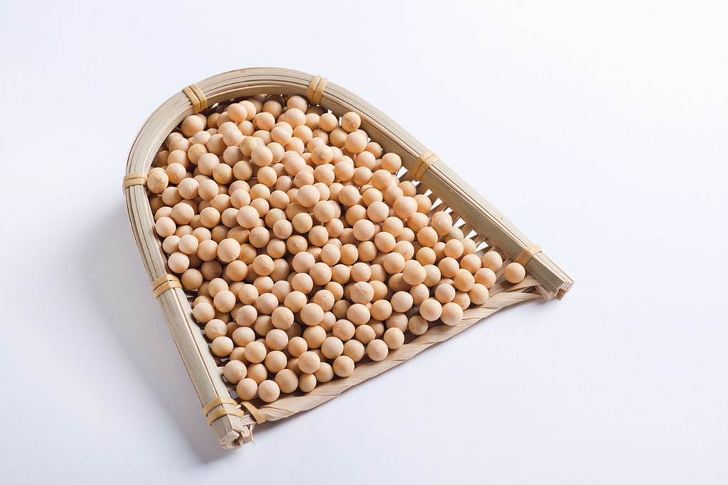 吃豆腐补钙吗(吃豆腐能补充人体的钙)-硒宝网