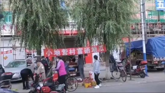 富硒地瓜基地（富硒地瓜生产基地）-硒宝网