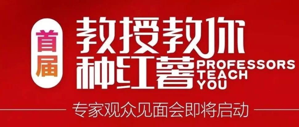 富硒地瓜育苗(富硒地瓜种植技术视频教程)-硒宝网