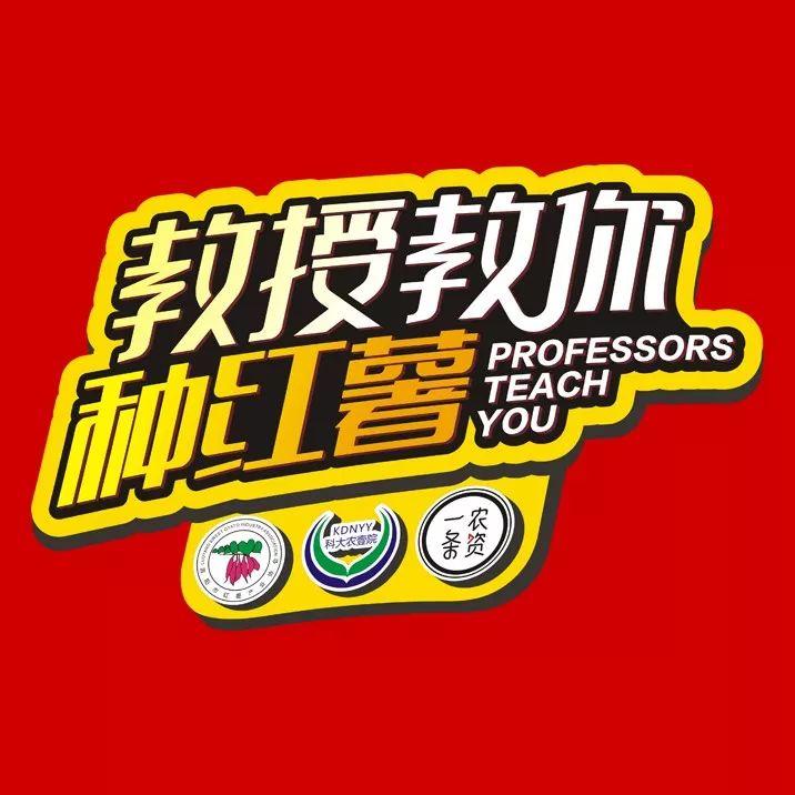 富硒地瓜育苗(富硒地瓜种植技术视频教程)-硒宝网