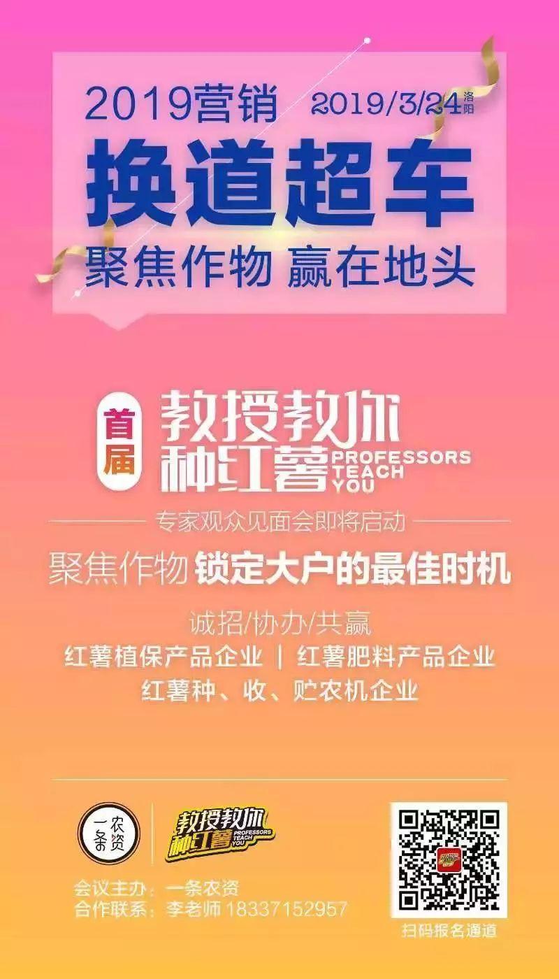 富硒地瓜育苗(富硒地瓜种植技术视频教程)-硒宝网