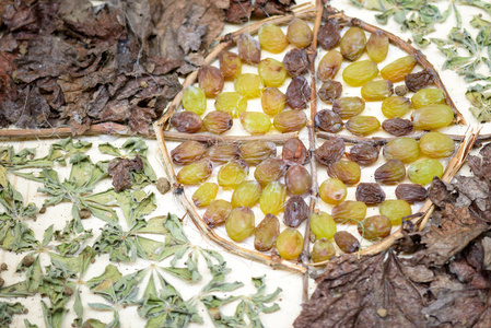 富硒地瓜秧苗(富硒地瓜种植技术视频教程)-硒宝网