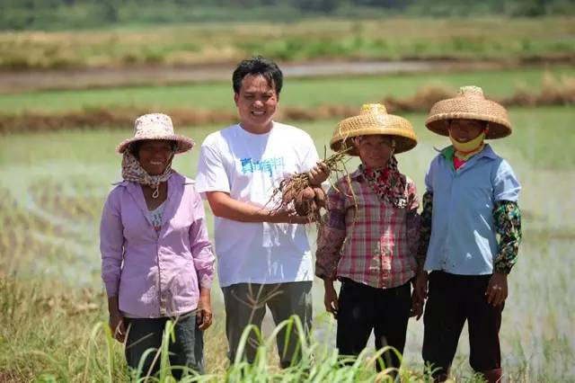 富硒地瓜需要(富硒地瓜好吗)-硒宝网